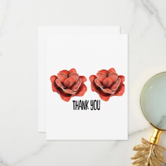 BEDANKT KAARTEN (Voorkant / Achterkant in situ)