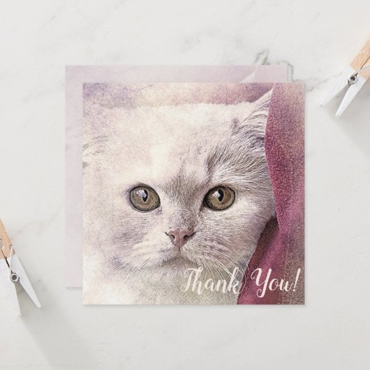 Bedankt Kat Kaart (Voorkant / Achterkant in situ)