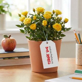 Bedankt Leraar Voor Het Helpen Aan Mijn Groei Onde Cadeaulabel