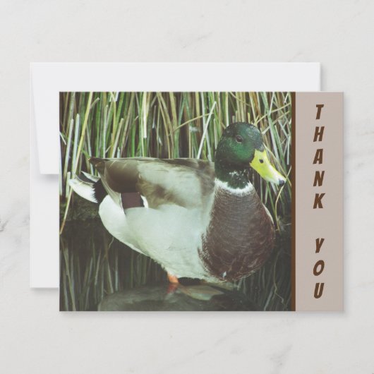 Bedankt Mallard Duck Wild Bird Appreciation Kaart (Voorkant)
