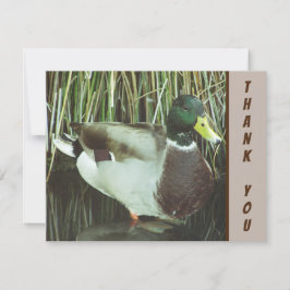 Bedankt Mallard Duck Wild Bird Appreciation Kaart