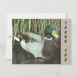 Bedankt Mallard Duck Wild Bird Appreciation Kaart