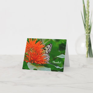 Bedankt met Butterfly in Mexicaanse Honeysuckle