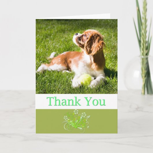 Bedankt Met Puppy Cavalier King Charles Kaart (Voorkant)
