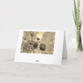 Bedankt met rode rozen kaart (Achterkant)