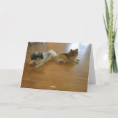 Bedankt om altijd mijn rug te hebben! (Achterkant)