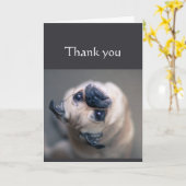 Bedankt om zo Geweldige te zijn Fun Pug Dog Animal Kaart (Gele Bloem)