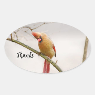 Bedankt ovaal sticker