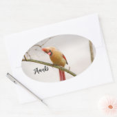 Bedankt ovaal sticker (Envelop)