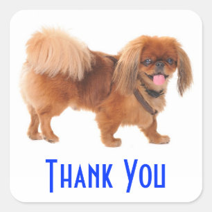 Bedankt Pekingese Puppie Hond Groet Sticker