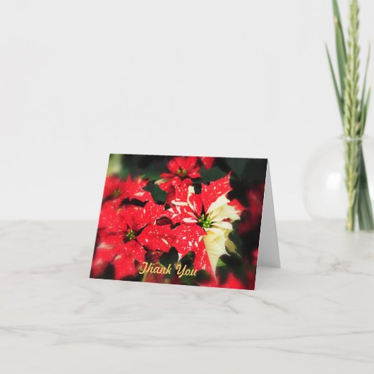 Bedankt Poinsetas (Voorkant)