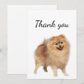 Bedankt Pommeren Dog Pet Animal (Voorkant / Achterkant)