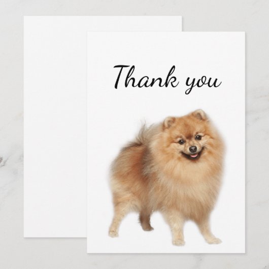 Bedankt Pommeren Dog Pet Animal (Voorkant / Achterkant)