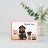 Bedankt Puppies briefkaart (Staand voorkant)