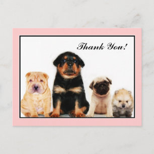 Bedankt Puppies briefkaart