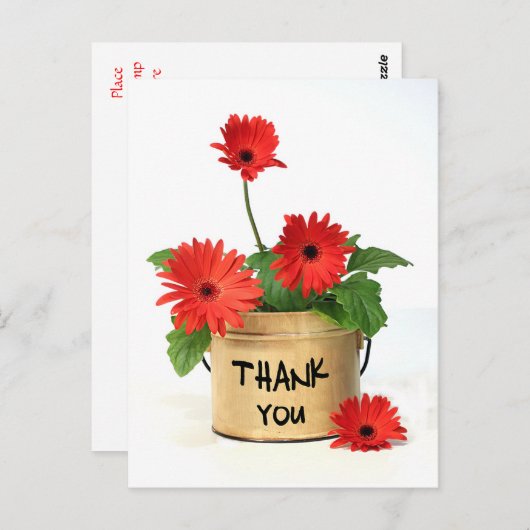 Bedankt Red Gerbera Daisy Flower Pot Post Kaart (Voorkant / Achterkant)
