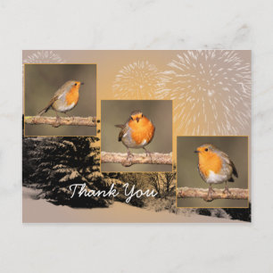 Bedankt Robin Tryptych Briefkaart