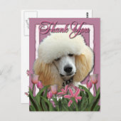 Bedankt - Roze Tulpen - Poedel - Abrikoos Briefkaart (Voorkant / Achterkant)