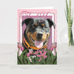 Bedankt - Roze Tulpen - Rottweiler - SambaParTi