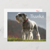 Bedankt Schnauzer Puppy Dog Greeting Briefkaart (Voorkant / Achterkant)