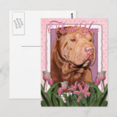 Bedankt - Shar Pei - Lucky Briefkaart (Voorkant / Achterkant)