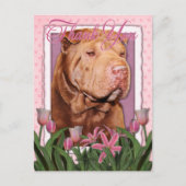 Bedankt - Shar Pei - Lucky Briefkaart (Voorkant)