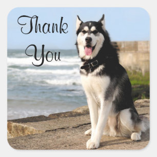 Bedankt Siberian Husky Puppy Dog Stickers Labels