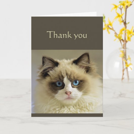 Bedankt Sincere Beauful Cat Animal Scripting Kaart (Gele Bloem)