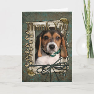 Bedankt - Stone Paws - Beagle Puppy