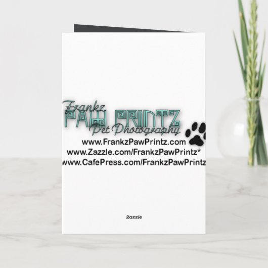 Bedankt - Stone Paws - Boston Terrier (Achterkant)