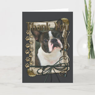 Bedankt - Stone Paws - Boston Terrier