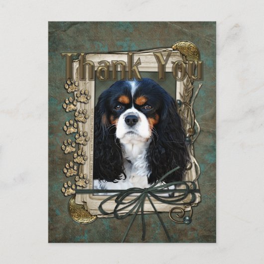 Bedankt - Stone Paws - Cavalier Briefkaart (Voorkant)