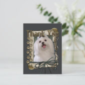 Bedankt - Stone Paws - Maltees Briefkaart (Staand voorkant)