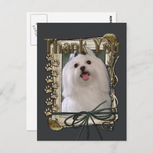 Bedankt - Stone Paws - Maltees Briefkaart (Voorkant / Achterkant)