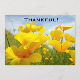 Bedankt! Uitnodigingen Aangepaste vrijwilligers Lu