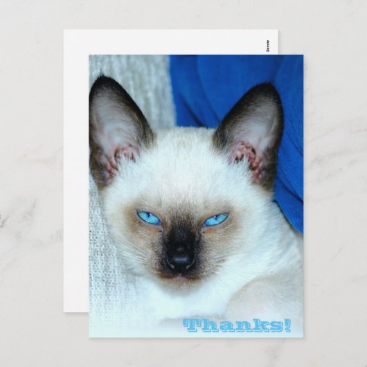 Bedankt Vakantievakdag Briefkaart (Voorkant / Achterkant)