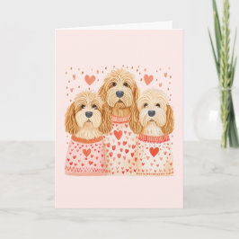 Bedankt Valentijnse Goldendoodle Dogs