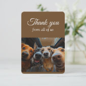 Bedankt van All of Us Group Fun Dogs Dieren (Staand voorkant)