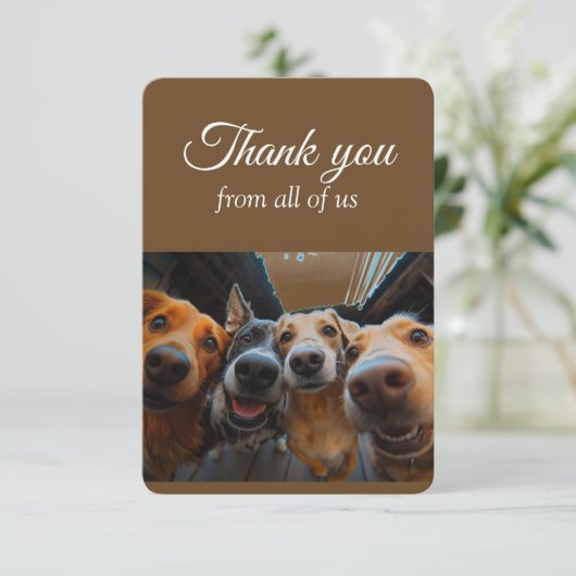 Bedankt van All of Us Group Fun Dogs Dieren (Staand voorkant)
