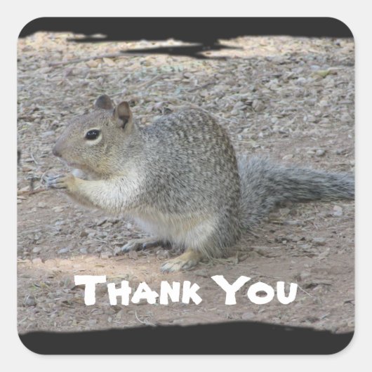 Bedankt voor Cute Gray Squirrel Foto appreciatie Vierkante Sticker (Voorkant)