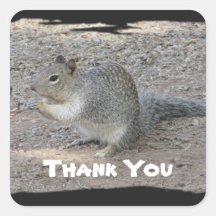 Bedankt voor Cute Gray Squirrel Foto appreciatie Vierkante Sticker