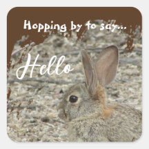 Bedankt voor de foto Genderneutrale waardering