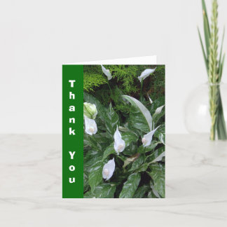 BEDANKT VOOR DE PLANTEN KAART/VREDE