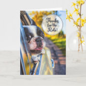 Bedankt voor de Ride Cute Dog in een venster van d Kaart (Gele Bloem)