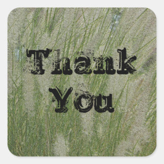 Bedankt voor de waardering van Tall Desert Grass Vierkante Sticker