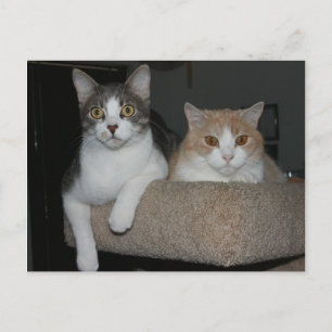 Bedankt voor het begeleiden van mij briefkaart