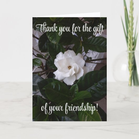 Bedankt voor het cadeau van jullie vriendschap! kaart (Voorkant)