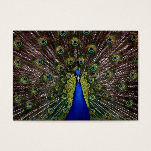 Bedankt voor het cadeauLabel Visitekaartjes (Voorkant)