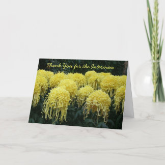 Bedankt voor het interview