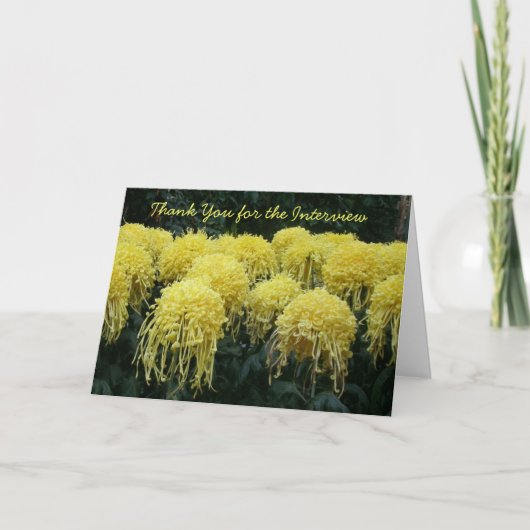 Bedankt voor het interview (Voorkant)